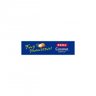 ココナッツポッキー 展開図